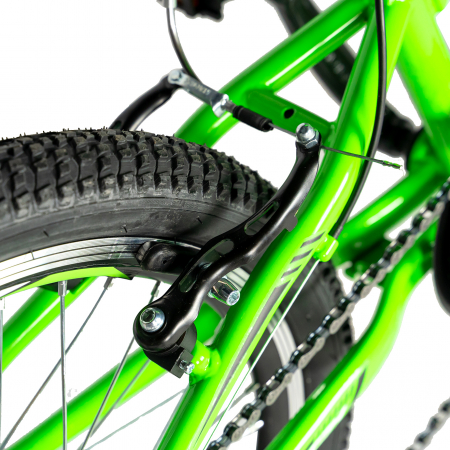 Bicicleta copii 20 inch RICH Alpin R2049A, 6 viteze, tip frana V-Brake, culoare verde/negru, varsta 7-10 ani [2]