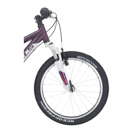 Bicicleta Copii Bulls Tokee 20 - 20 Inch, Violet [1]
