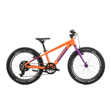 Biciclete copii - Bicicleta Copii Raymon Yanga 20 2025 - 20 Inch, Portocaliu - TY200