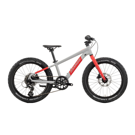 Biciclete copii - Bicicleta Copii Raymon Yanga 20 Pro 2025 - 20 Inch, Gri - Altus