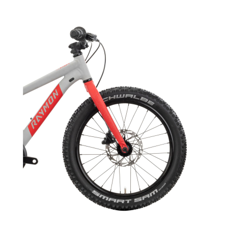 Bicicleta Copii Raymon Yanga 20 Pro 2025 - 20 Inch, Gri - Altus [4]