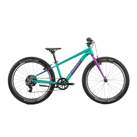 Biciclete copii - Bicicleta Copii Raymon Yanga 24 2025 - 24 Inch, Verde - TY200