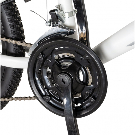 Bicicleta copii Rich Baby, 7-10 Ani, 18 Viteze, Roti 20 Inch, Frane V-Brake, LANQ CSA20/30L, Cadru Alb cu Design Negru [7]