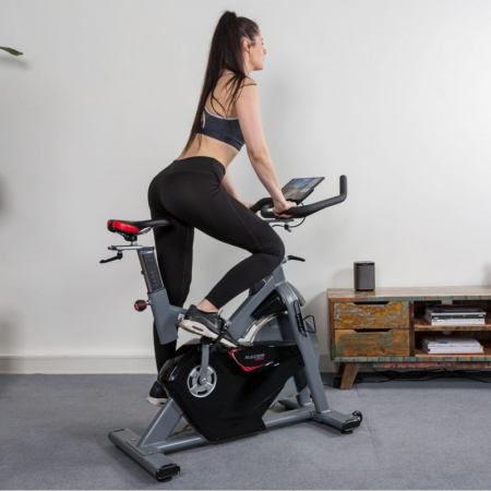 Bicicleta de spinning FLOW FITNESS DSB600I [13]