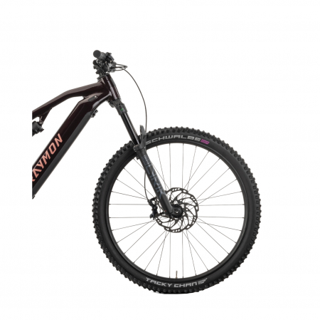 Bicicleta Electrica Raymon Full Suspension Trailray 150 Pro 2025 - 29 Inch, L, Negru - SLX [4]