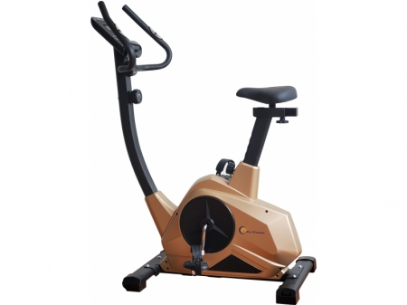 BICICLETE FITNESS - Bicicleta fitness magnetica FitTronic 601B Gold