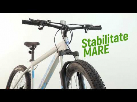 Bicicleta Mtb Afisport M2 - 29 Inch, S, Argintiu [1]