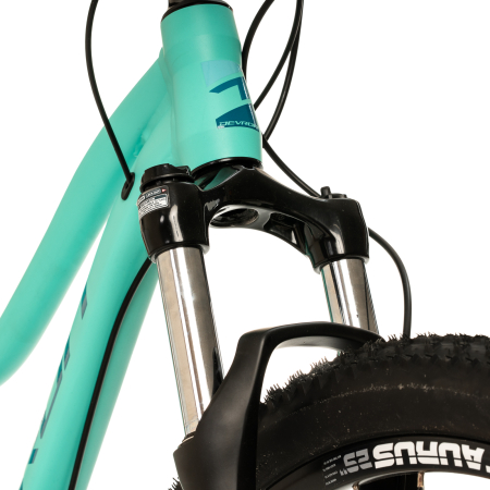 Bicicleta Mtb Devron Riddle RW1.9 2025 - 29 Inch, M, Turcoaz [4]