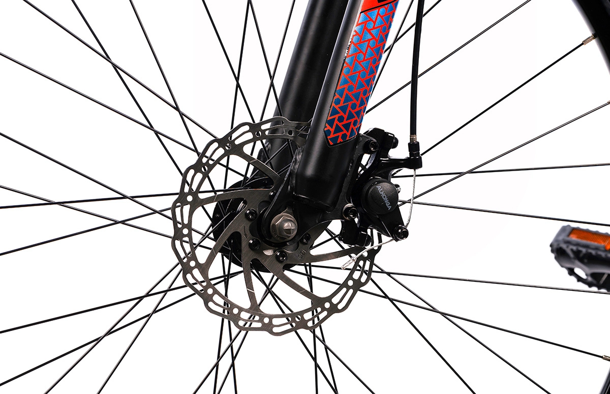 Bicicleta Mtb Terrana 2905 - 29 Inch, L, Albastru [6]