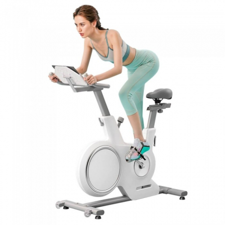 Bicicleta spinning deluxe MR-667-W0 Merach [1]