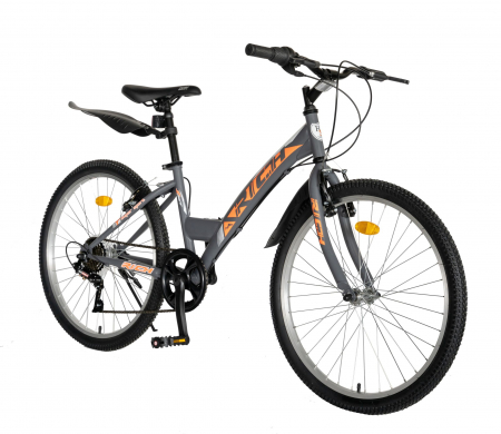 Bicicleta TREKKING 24" RICH R2430A, 6 viteze, culoare gri/portocaliu [1]