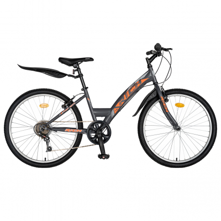 Bicicleta TREKKING 24" RICH R2430A, 6 viteze, culoare gri/portocaliu [0]
