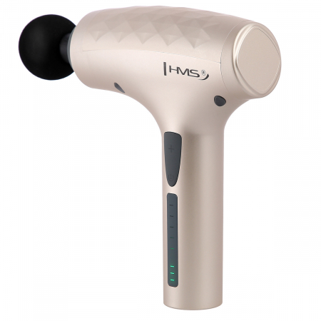 Pistol de masaj HMS PDM3134 Gold [0]
