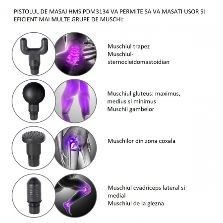 Pistol de masaj HMS PDM3134 Gold [4]