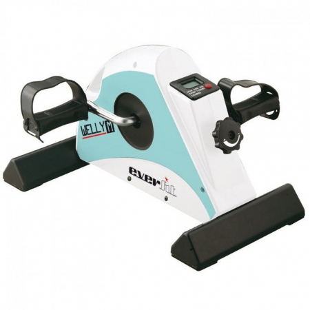 BICICLETE FITNESS - Bicicleta fitness pentru recuperare EVERFIT WELLY M