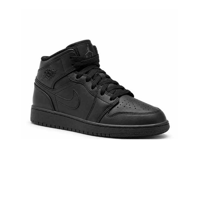 AIR JORDAN 1 MID (GS) [3]