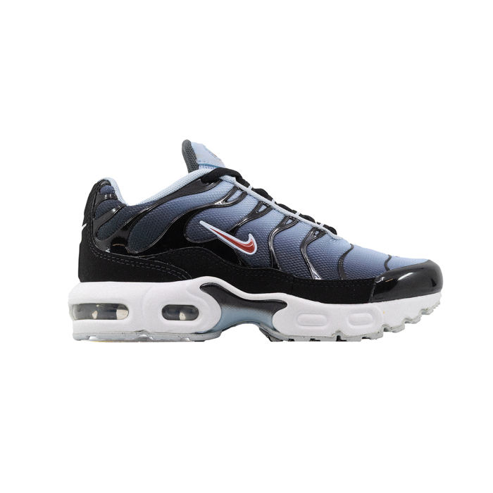 Air Max Plus [1]