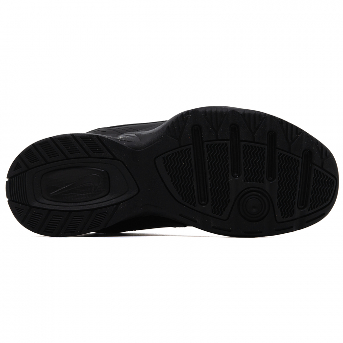Air Monarch Iv [5]