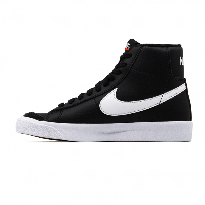 Blazer Mid '77 Bg [2]