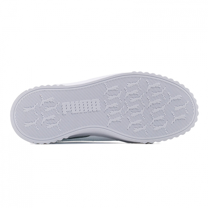 Carina 3.0 [5]