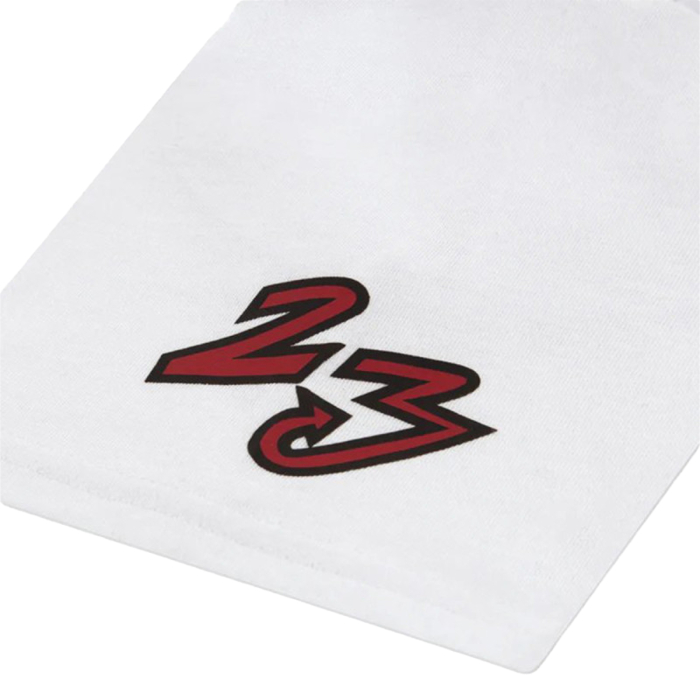 JDB DYNASTY PATCH [4]