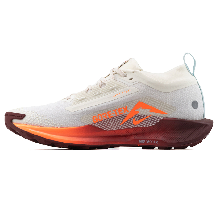 NIKE PEGASUS TRAIL 5 GTX [2]