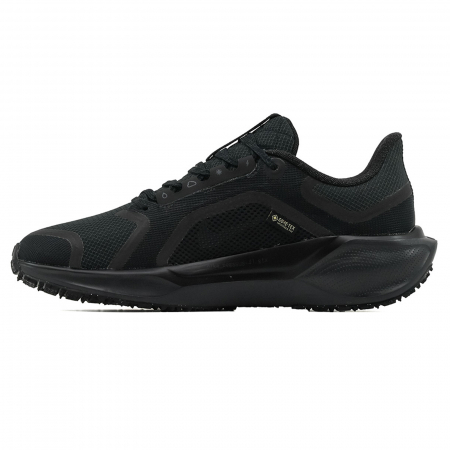 Nike Air Zoom Pegasus 41 GORE-TEX [1]