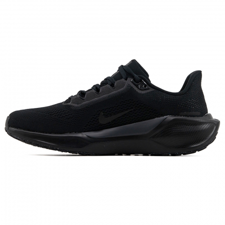 Nike Zoom Pegasus 41 [1]