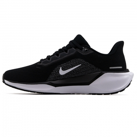 Nike Air Zoom Pegasus 41 [1]