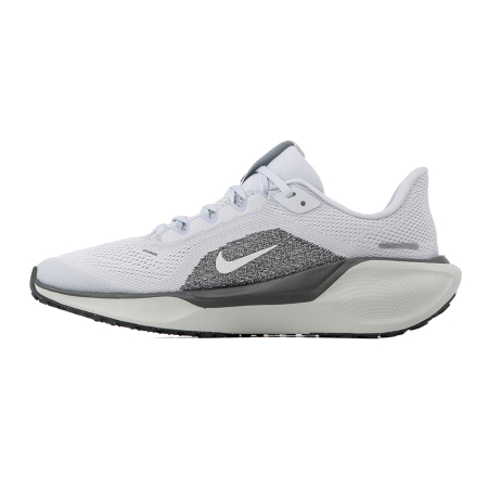 AIR ZOOM PEGASUS 41 [1]