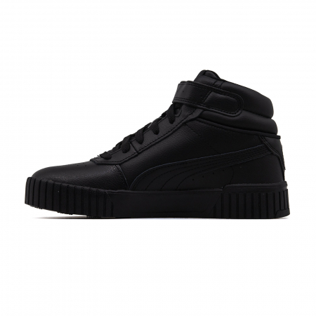 Carina 2.0 Mid [1]