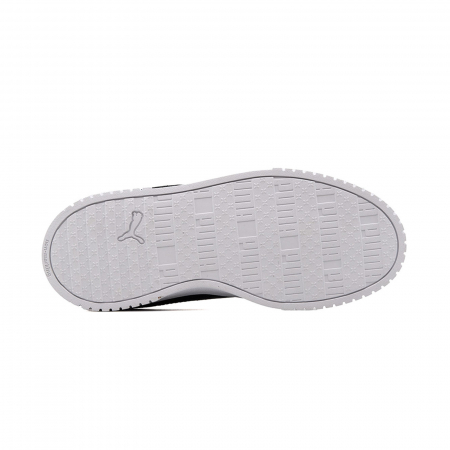 Carina 2.0 PS [4]