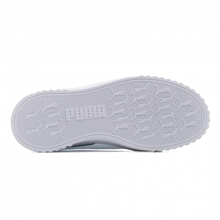 Carina 3.0 [4]
