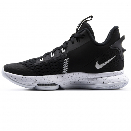 Lebron Witness V [1]