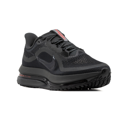 NIKE PEGASUS PREMIUM [2]