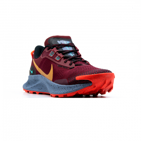 Nike Pegasus Trail 3 [2]