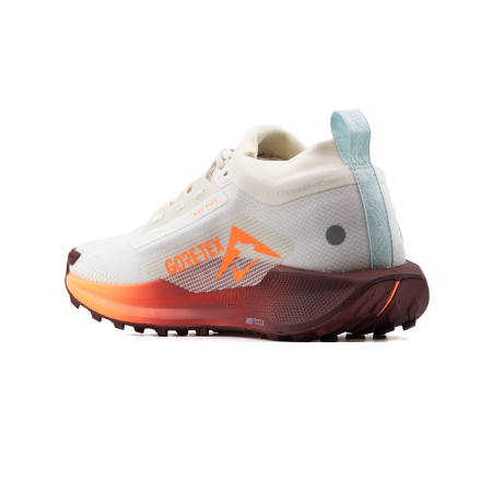 NIKE PEGASUS TRAIL 5 GTX [3]