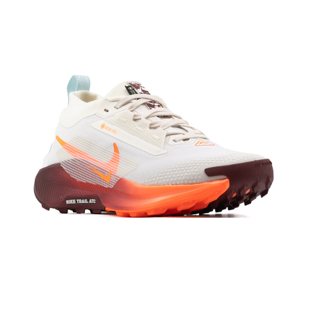 NIKE PEGASUS TRAIL 5 GTX [2]