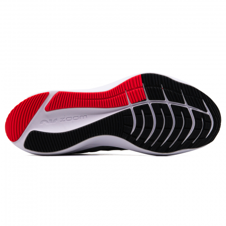 Nike Zoom Winflo 8 [4]