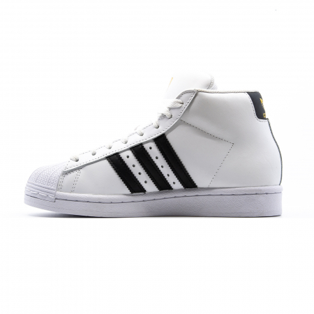 Pro Model J [1]