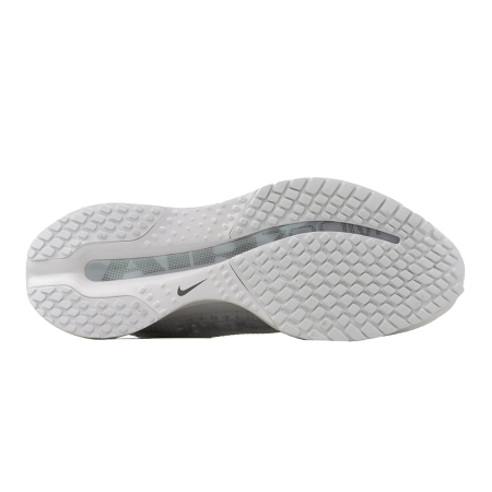 PEGASUS PREMIUM ESS [4]