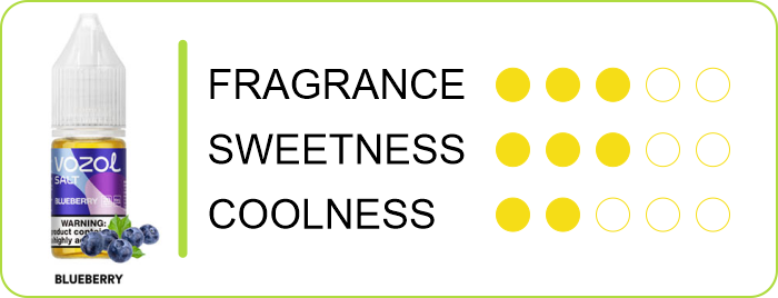 VOZOL Salt Blueberry