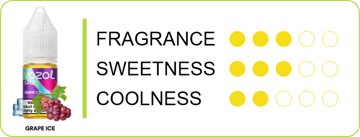 VOZOL Salt Grape Ice
