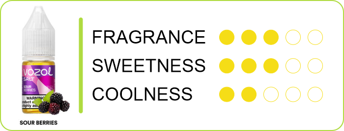 VOZOL Salt Sour Berries