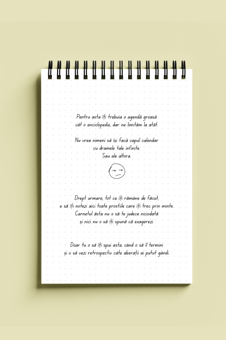 Carnet ironic - Drame zilnice de-ale mele [2]