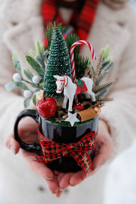 Aranjament de Craciun in cana - m9 [1]