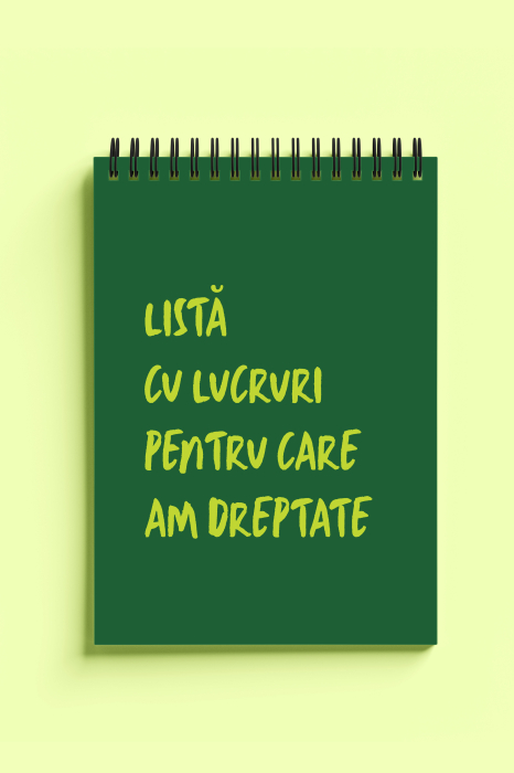 Carnet ironic - Lista cu lucruri pentru care am dreptate [1]