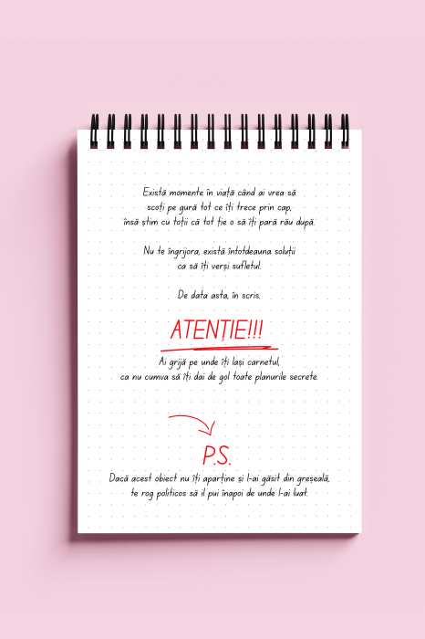 Carnet ironic - Lucruri pe care nu le pot spune cu voce tare [2]