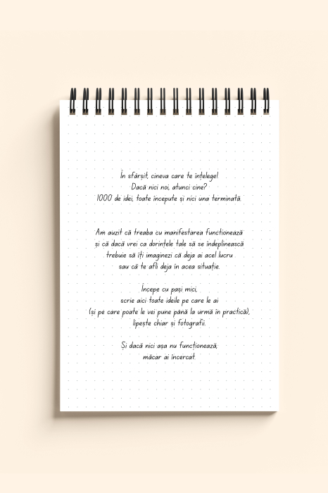 Carnet ironic - Idei pe care nu o sa le pun niciodata in practica [2]