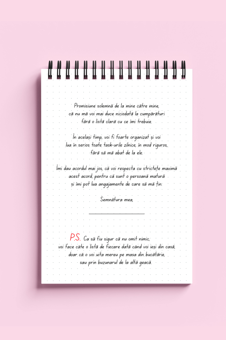 Carnet ironic - Carnet cu liste pe care nu le respect niciodata [2]